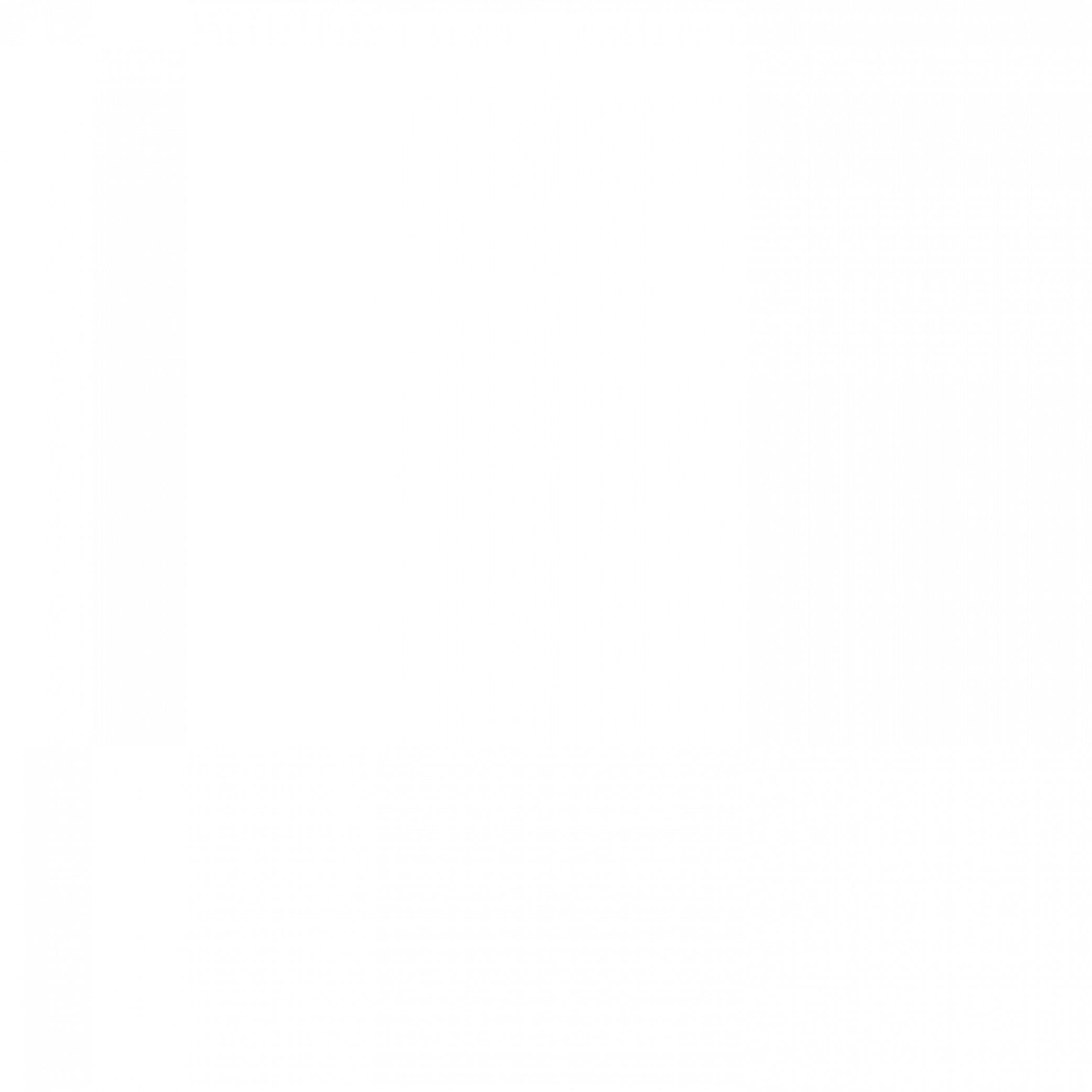 Northern Coalition Corporation